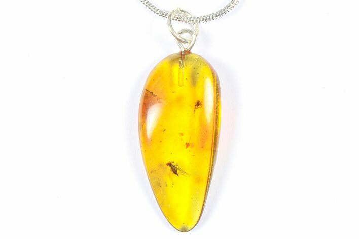 Polished Baltic Amber Pendant (Necklace) - Flies, Spider & Mite #368896